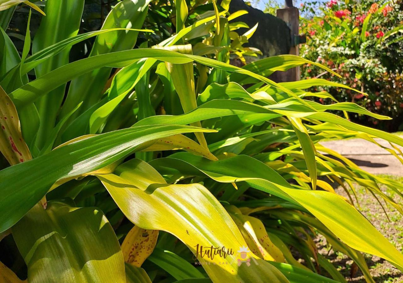 Hutiarii House & Car & Excursions Raiatea Vila Tevaitoa Exterior foto